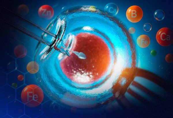Curso de Aperfeiçoamento - Nutrição e Implantação Embrionária: Estratégias para Prevenir Falhas e Otimizar Resultados Reprodutivos