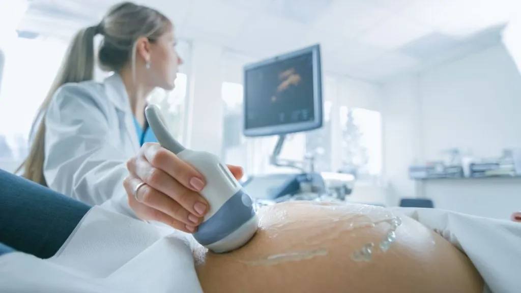 restrição de crescimento fetal